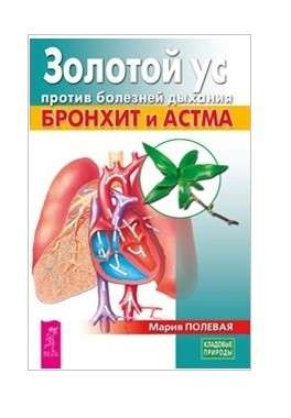 Золотой ус против болезней дыхания. Бронхит и астма 