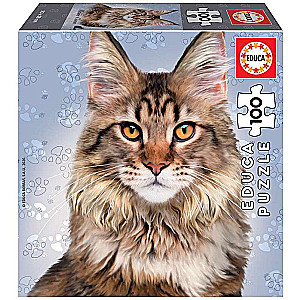 Puzzle EDUCA Main Coon, 100 деталей