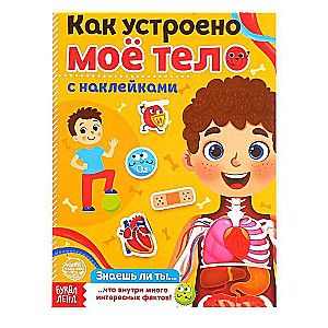 Как устроено моё тело