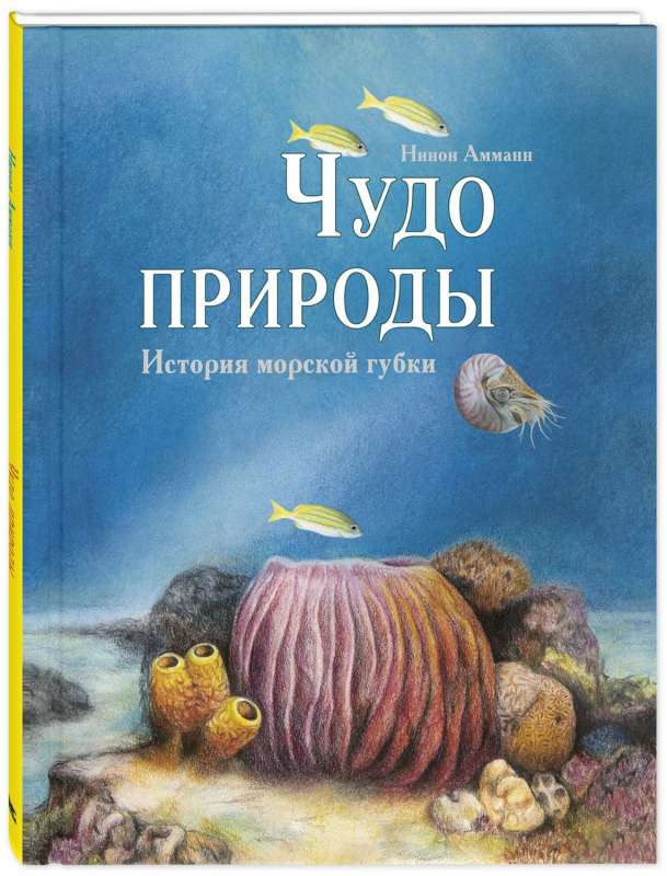 Чудо природы. История морской губки