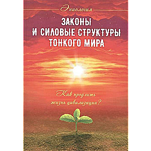 Законы и силовые структуры Тонкого мира. 2-е изд. Как продлить жизнь цивилизации?