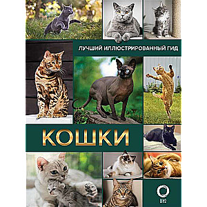 Кошки. Лучший иллюстрированный гид