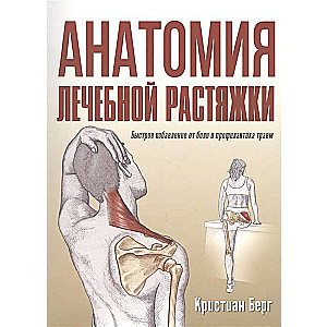 Анатомия лечебной растяжки: быстрое избавление от боли и профилактика травм