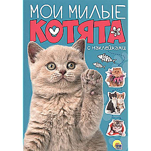 Мои милые котята