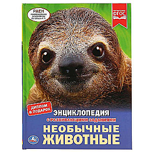 НЕОБЫЧНЫЕ ЖИВОТНЫЕ