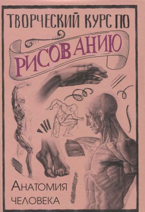 Творческий курс по рисованию. Анатомия человека