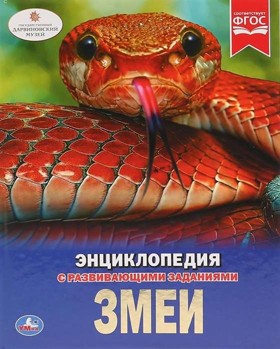 Змеи