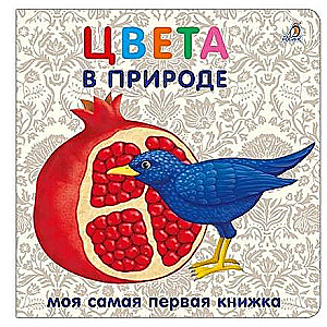 Книжки - картонки. Цвета в природе