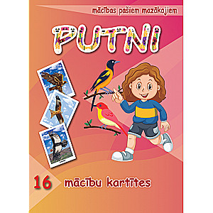 Mācību kartītes – PUTNI ( LV )