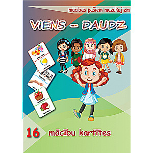 Mācību kartītes – VIENS – DAUDZ ( LV )