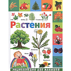 Растения