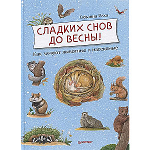 Сладких снов до весны! Как зимуют животные и насекомые