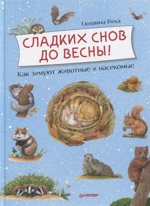 Сладких снов до весны! Как зимуют животные и насекомые