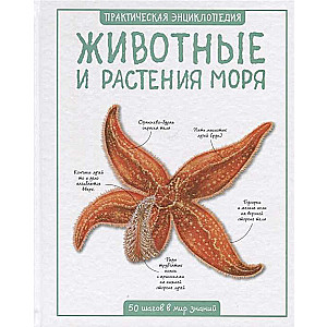 Животные и растения моря. 50 шагов в мир знаний