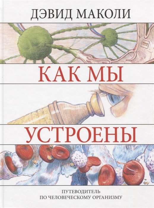 Как мы устроены. Путеводитель по человеческому организму