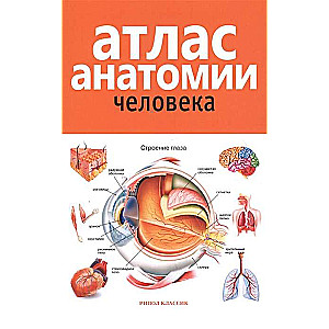 Атлас анатомии человека. 2-е издание