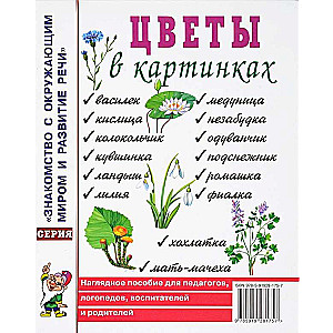 Цветы в картинках. Наглядное пособие для педагогов, логопедов, воспитателей и родителей