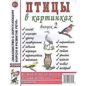 Транспорт в картинках. Выпуск 2. Служебный транспорт. Наглядное пособие для педагогов, логопедов, во