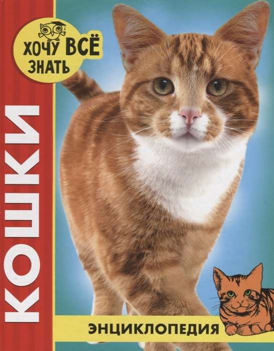 Кошки