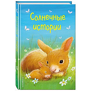 Солнечные истории