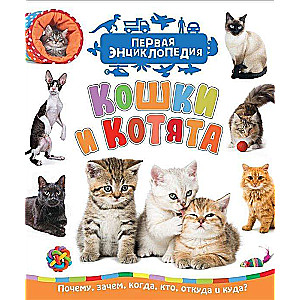 Кошки и котята