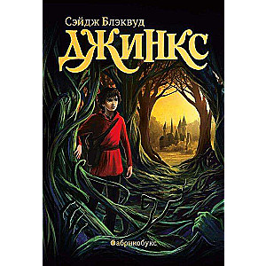 Джинкс. Книга 1