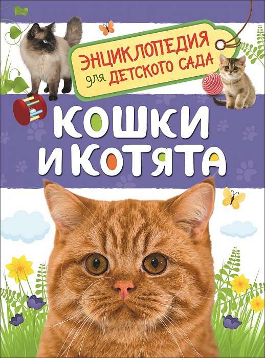 Кошки и котята