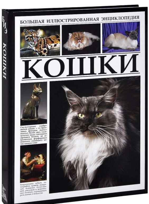 Кошки