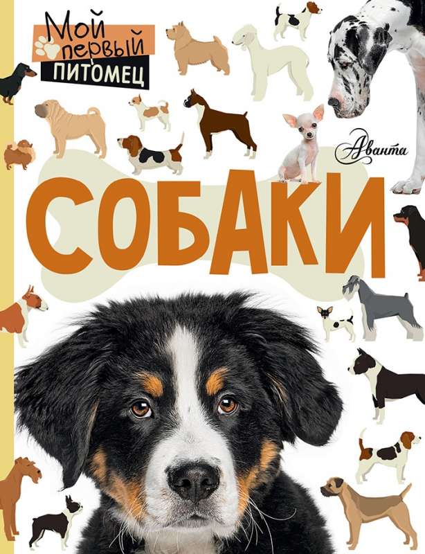 Собаки