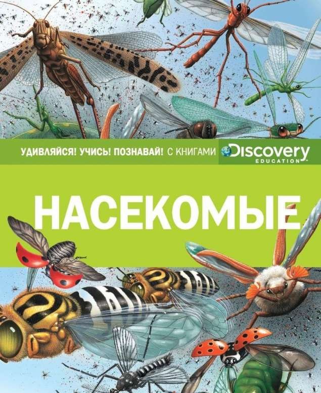 Насекомые