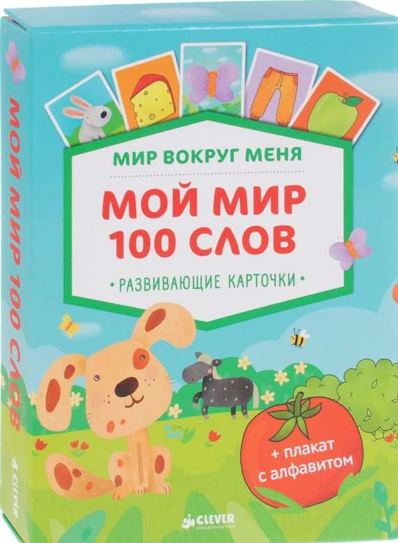 Мир вокруг меня. Мой мир. 100 слов