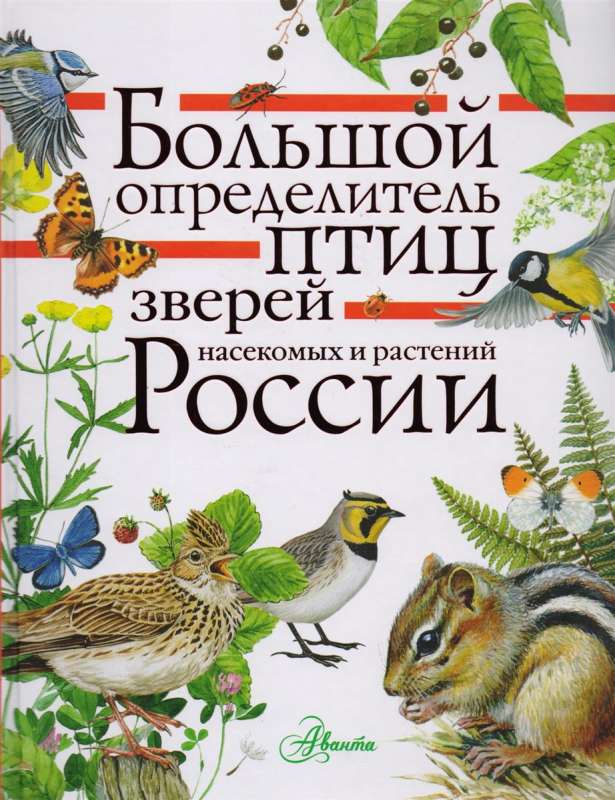 Большой определитель зверей, амфибий, рептилий, птиц, насекомых и растений России