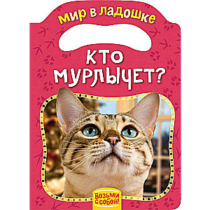 Кто мурлычет?