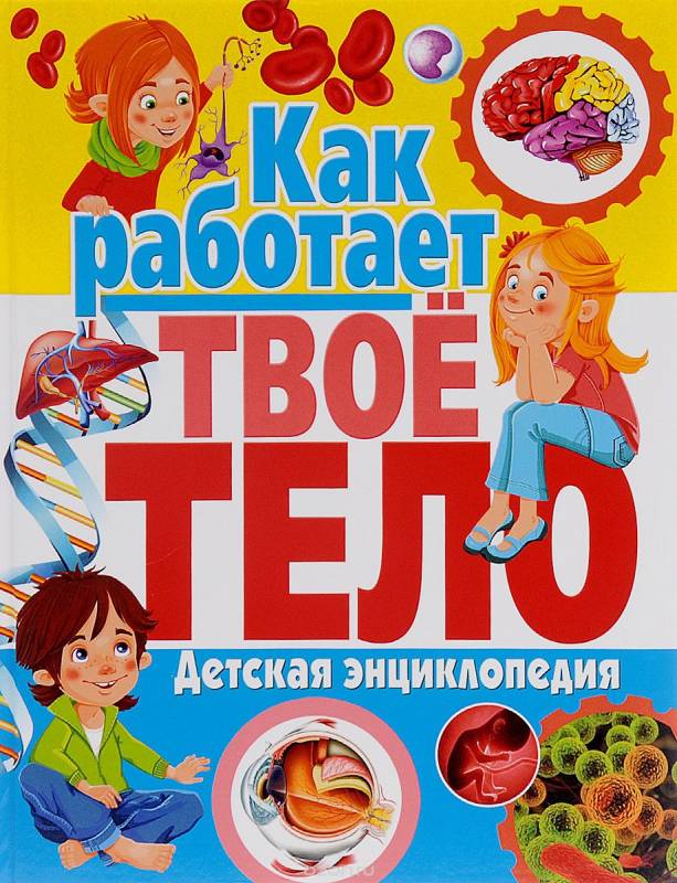 Как работает твое тело