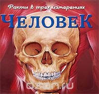 Человек. Факты в трех измерениях