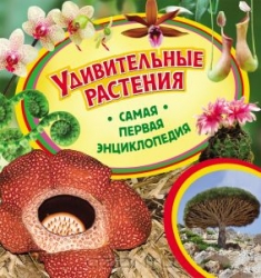 Удивительные растения