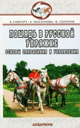 Лошадь в русской упряжке. Основы запрягания и управления