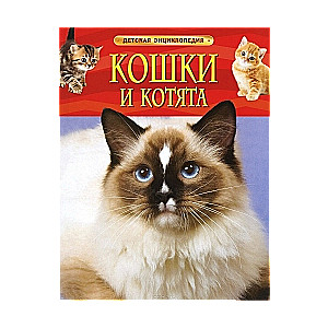 Кошки и котята