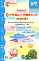 Грамматическая тетрадь № 2 для занятий с дошкольниками: Местоимения. Простые предлоги. Существительн