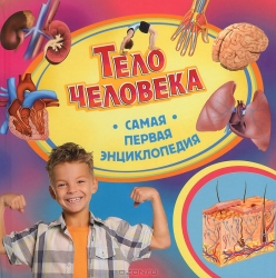 Тело человека