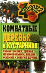 Комнатные деревья и кустарники: лимон, вишня, гранат, можжевельник, акация, жасмин и многие другие