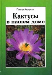 Кактусы в нашем доме