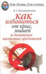 Как избавиться от крыс, мышей и домашних насекомых-вредителей