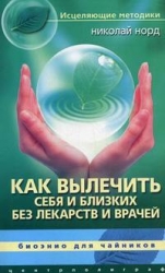 Как вылечить себя и близких без лекарств и врачей. Биоэнио для чайников