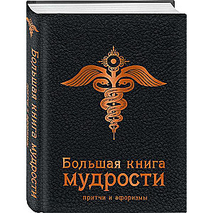 Большая книга мудрости 