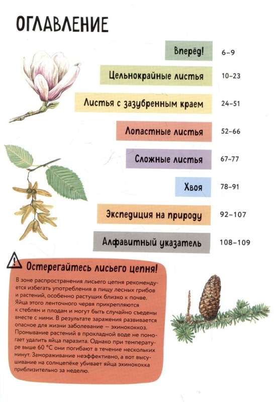 Растения. Краткий иллюстрированный справочник