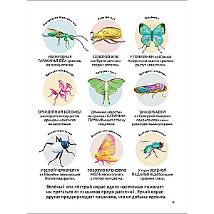 Детская энциклопедия насекомых