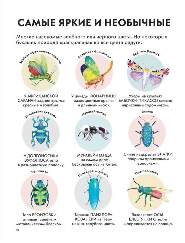 Детская энциклопедия насекомых