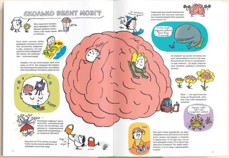 Супермозг. Детские вопросы про интеллект и память