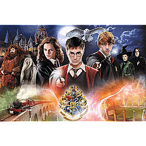 Пазл 300 Trefl: The Secret Harry Potter